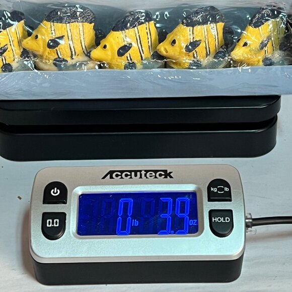 Tradewind Bay By The Shore Tropical Fish Tealight Candles 5-Pack For Home Decor - Picture 13 of 13